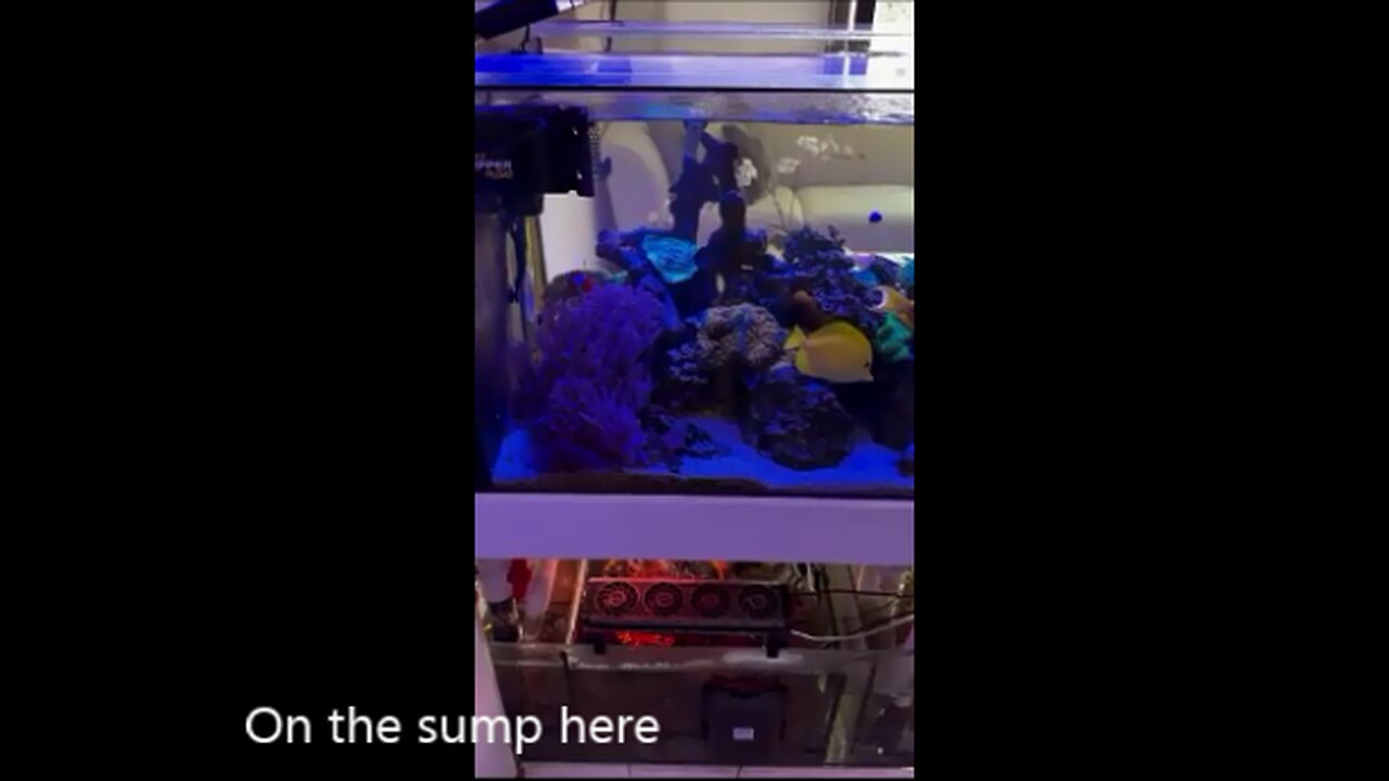Reef_Tank_Gaboo shows how he runs his HOG3® on his sump.