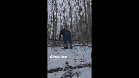Outdoor Boys inspired camping #Subscribe #Bushcraft #Camping #Outdoors #Survival #Nature #fyp #DJI