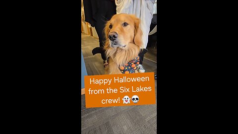 See who loves Halloween beside Maverick!