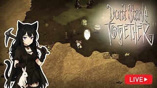 Winter Is Coming: Base Princesses & Bunny Traps | Don't Starve Together