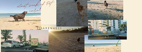 Last week of Petcare