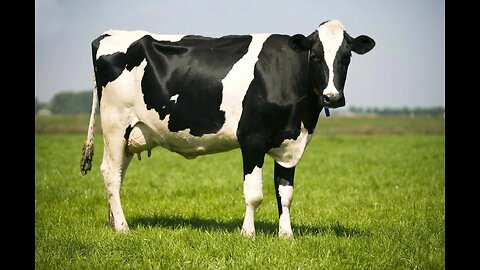 Sabrina Wallace & Juxtaposition discuss UN Agenda 2030