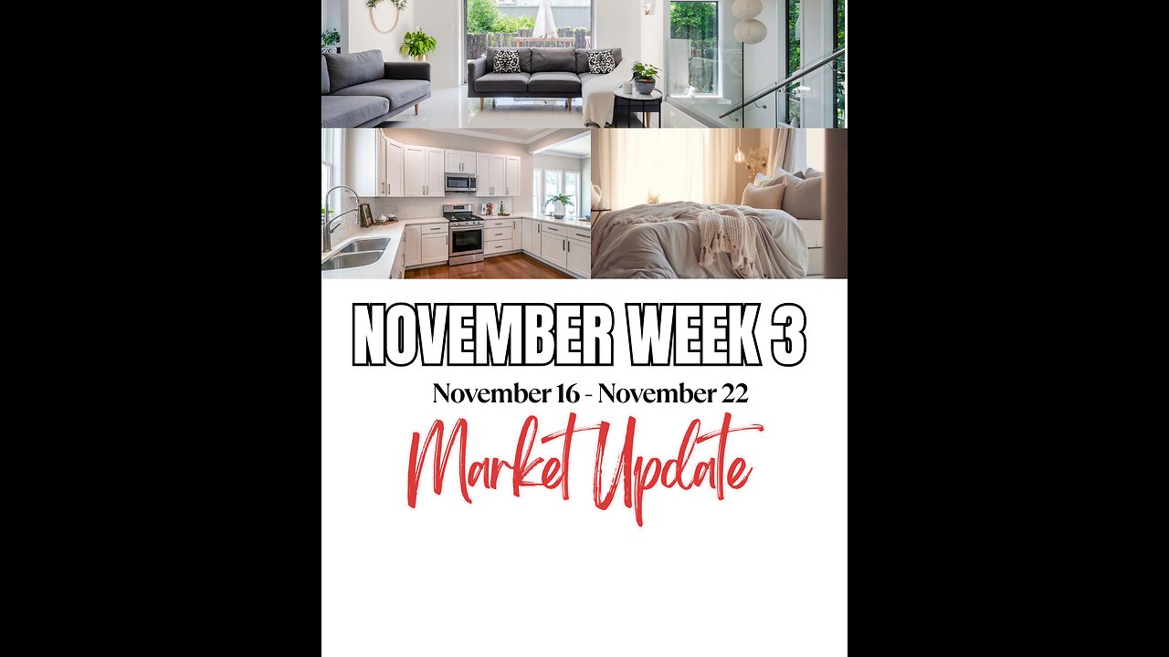 📊 November Week 3 Market Update | November 16–22