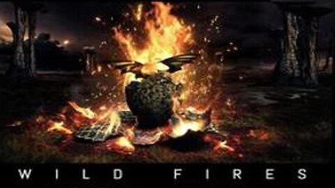 [Feb 11, 2020] Wild Fires [williamgenske]