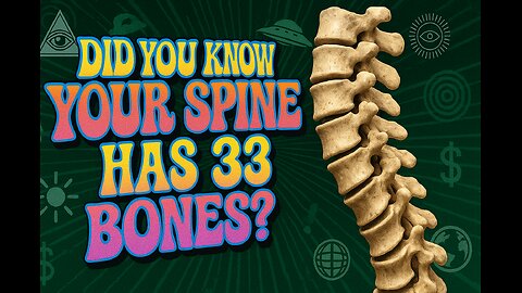 Your Spine Has 33 Bones!