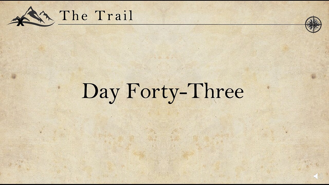 Day 43