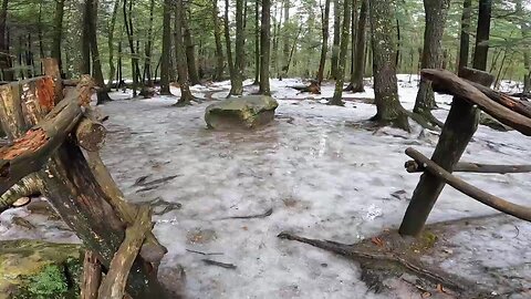 Take a Hike