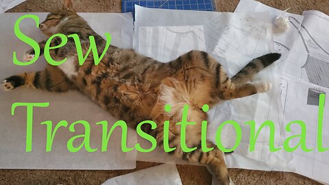 Transitional Stays || Stitch & B*
