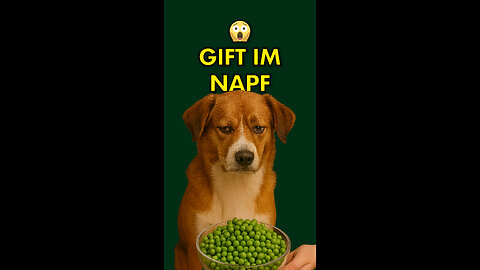 Gift im Napf!
