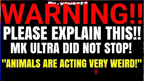 Disturbing Videos, Strange and Odd News Stories That Left Me Needing Answers! - Minutes Of Horror