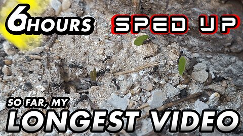 ASMR - 1st year of the channel! Finally, I can upload longer videos - Sped up