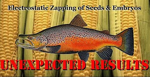 The Ebner Effect: How Static Fields Unlock Dormant DNA and Collapse the Gene Editing Paradigm