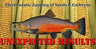 The Ebner Effect: How Static Fields Unlock Dormant DNA and Collapse the Gene Editing Paradigm