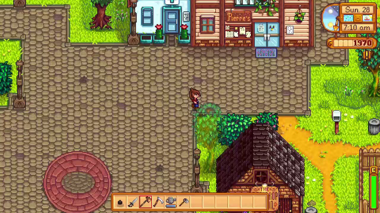 stardew valley