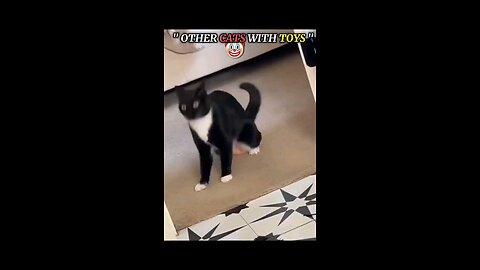 Cat with toy☠️