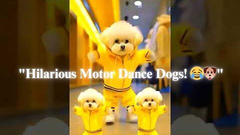 "Hilarious Motor Dance Dogs! 😂🐶"