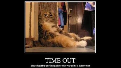 😼 "Evil Cat Plans EXPOSED! | What Your Cat Is REALLY Thinking…"