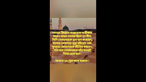 Al Quran Surah Bakara-28