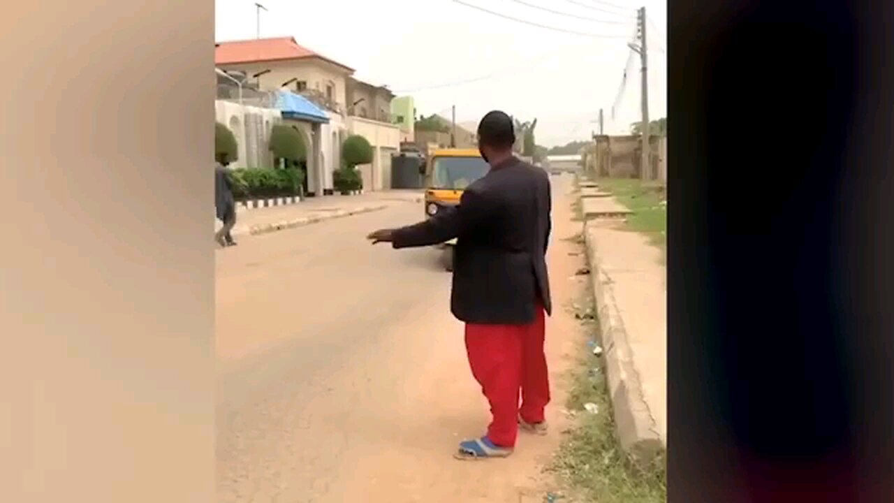 Funny Animals videos