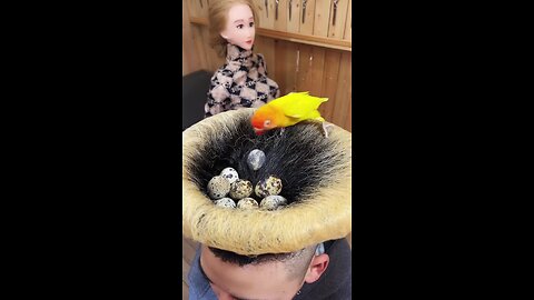 Bird Nest Hair Style 😃