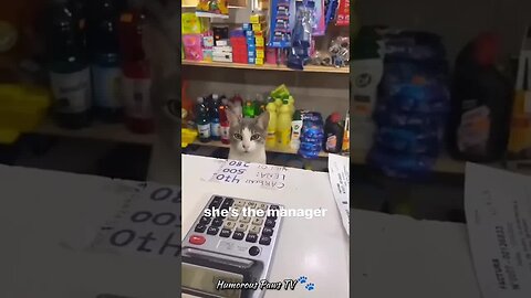 Funny furballss: short animal laughs! 🐾😆