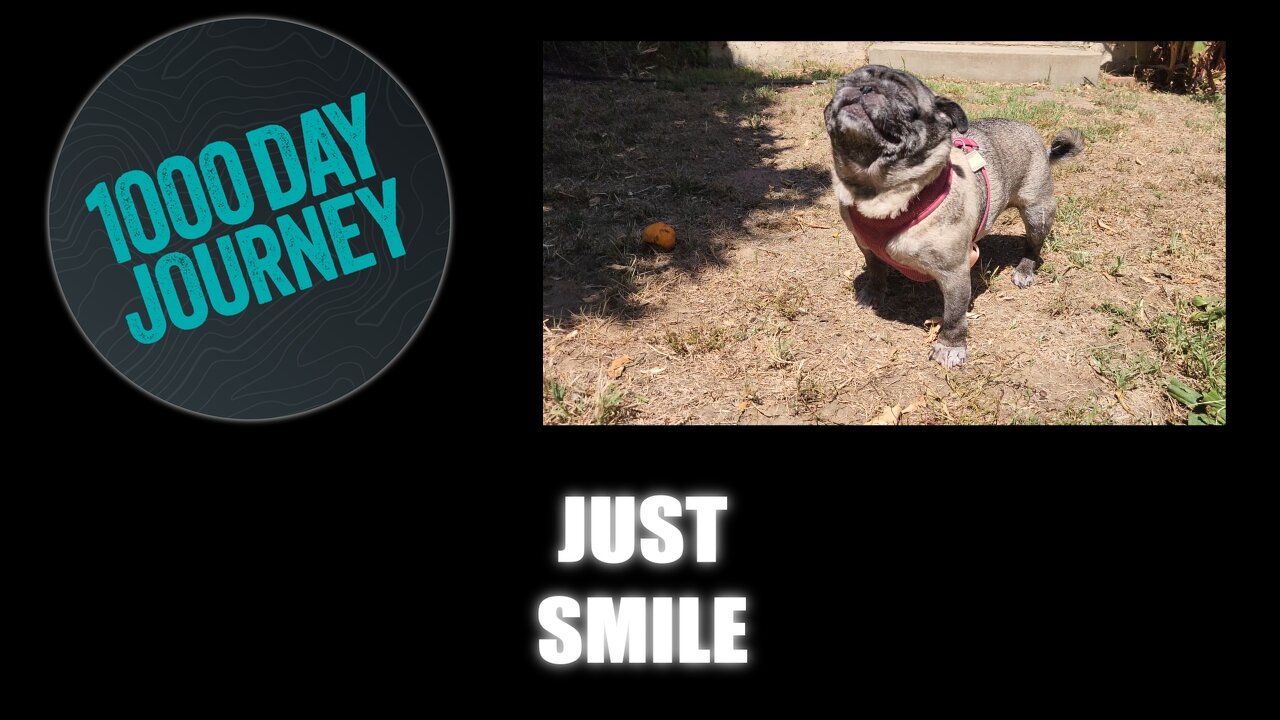 1000 Day Journey 0784 Just Smile