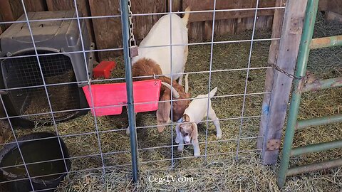 Graham Family Farm: 9:00 AM May 30 2025
