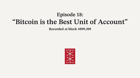 The Reorg | Episode 18 – Bitcoin is the Best Unit of Account