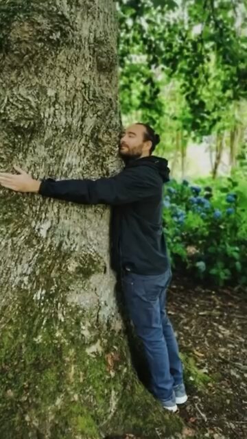 "THEY" DON'T WANT YOU NEAR TREES... HERE'S WHY. 🌳⚡️