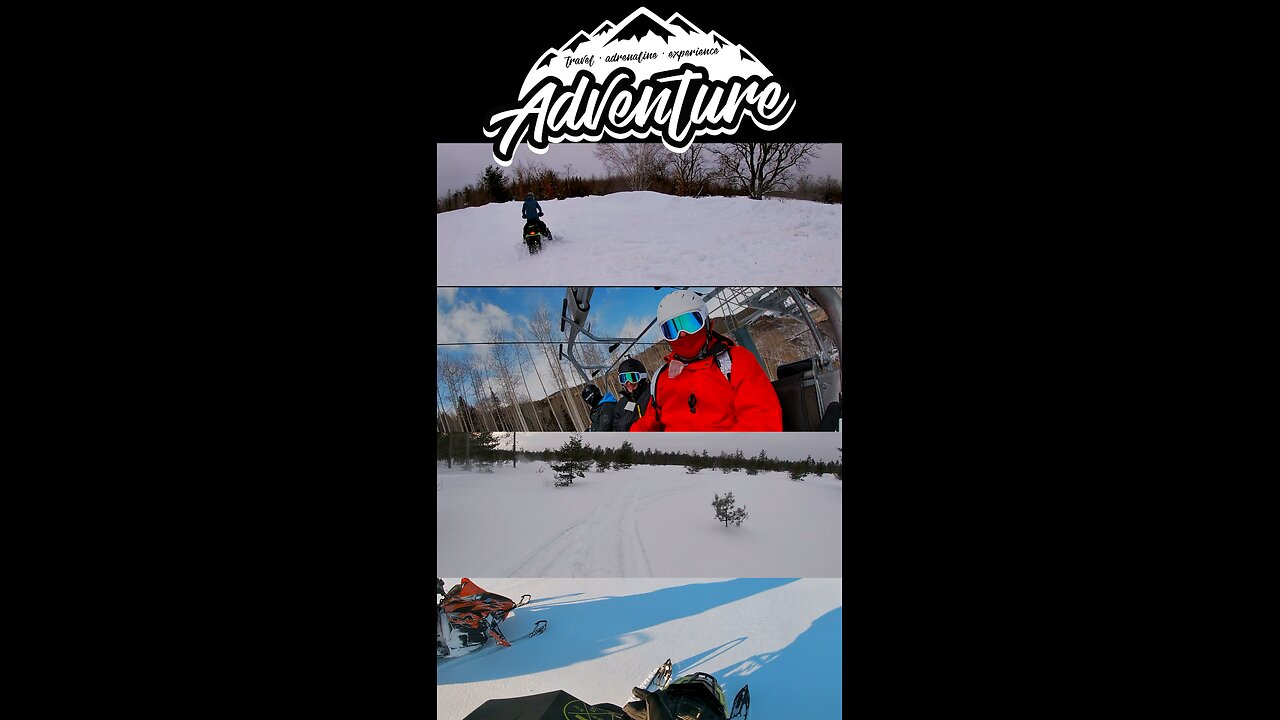 Snowmobiling Gone Wild: Goats 1, Cocoa 0, and the Porta-Potty Plunge!