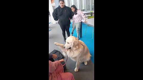 Health Wellness Event Kids. Salud Bienstar Evento Niños. 11.22.2025 #Luixitokidsniños