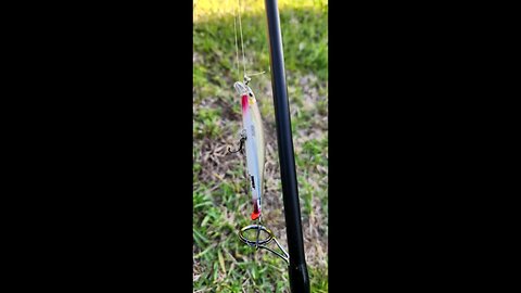 Fishing beds with an X-Rap Rapala. #fishing