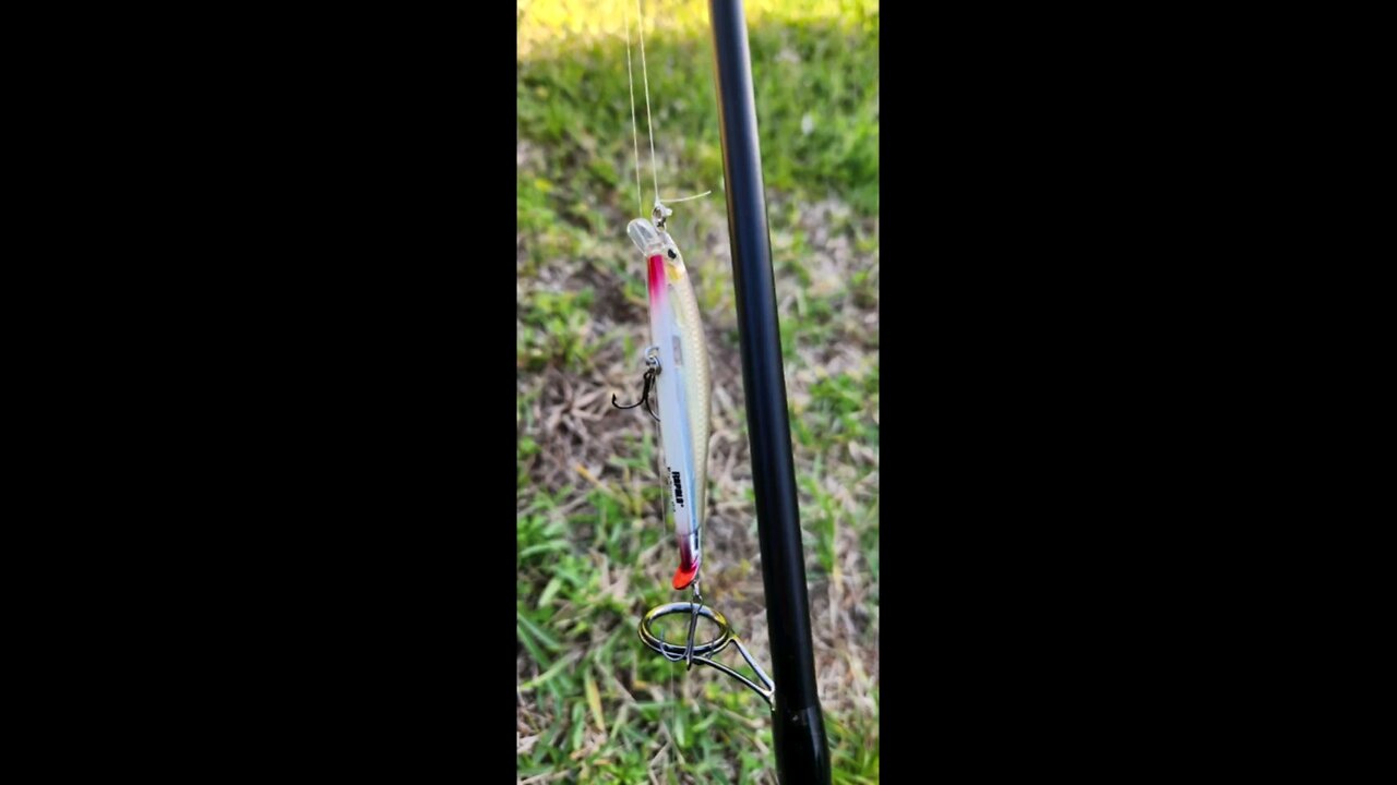 Fishing beds with an X-Rap Rapala. #fishing