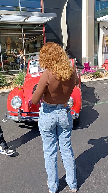 ART OF THE CLASSIC CAR