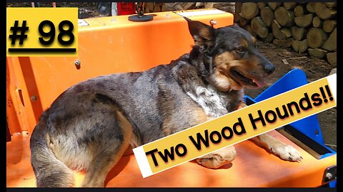 Some Smoker Wood Ideas‼️
