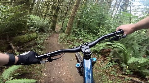 Ewe Tube - Lord Hill - Snohomish - Washington