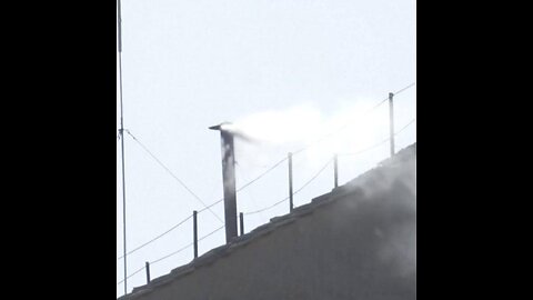 NOW - White smoke. A new Pope has been chosen.