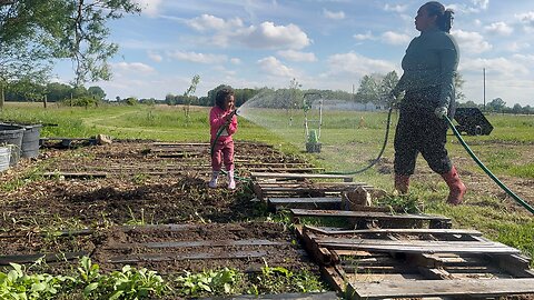 New things happening on the homestead
