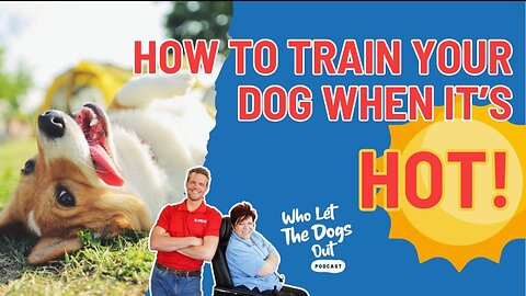 How To Train Your Dog In The Heat & Greeting Manners On Walks + Come When Called – Q&A Ep. 063