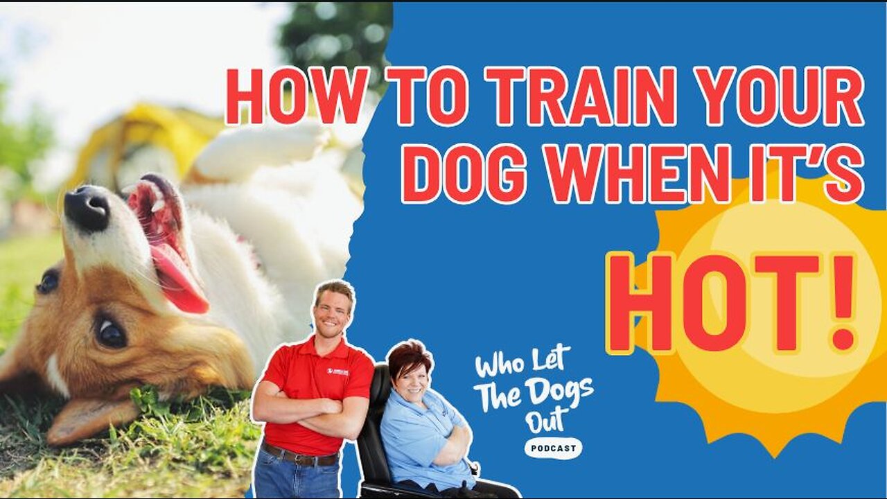 How To Train Your Dog In The Heat & Greeting Manners On Walks + Come When Called – Q&A Ep. 063