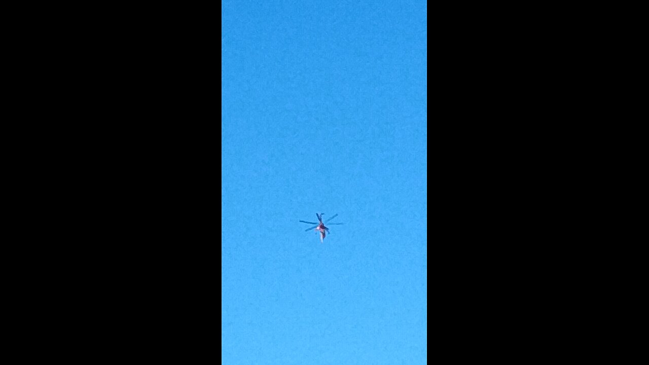 Draccopter stalking humans