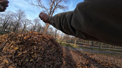 Leaf Heap, 19.11.2025 [B] Grüner Prater