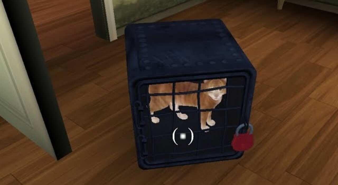 I saved the cat! | Scary Teacher 3D