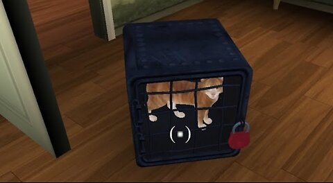 I saved the cat! | Scary Teacher 3D