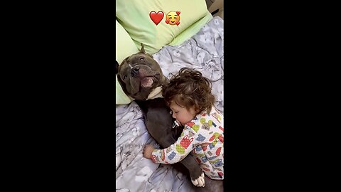 Dog is Protecting baby!❤️
