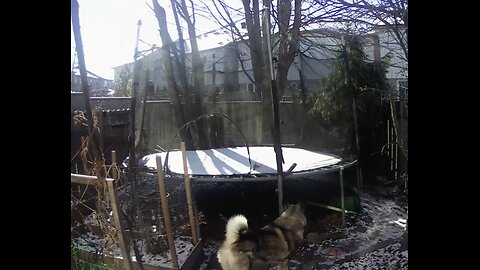 Trampoline repurpose