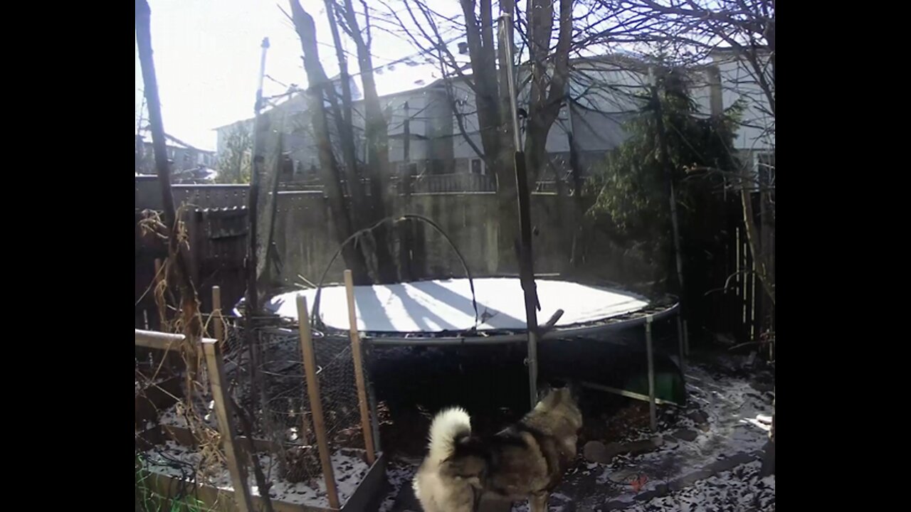 Trampoline repurpose