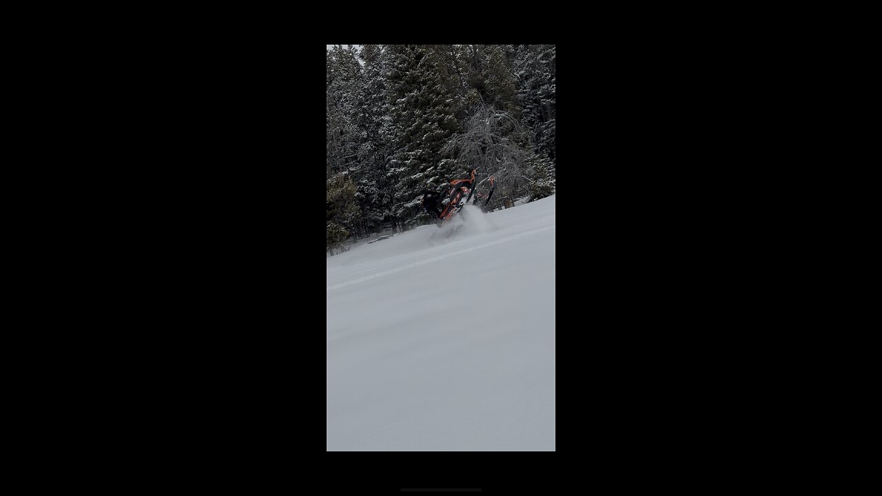 New Catalyst 858 vs skidoo 850