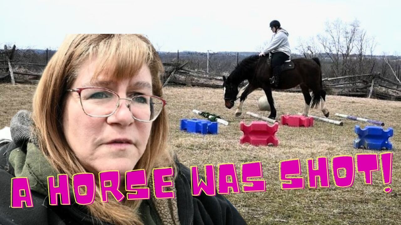 We Woke UP To A HORSE Being SHOT!