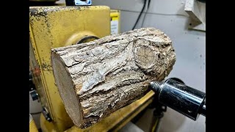 The Chestnut Log I Refused to Quit On